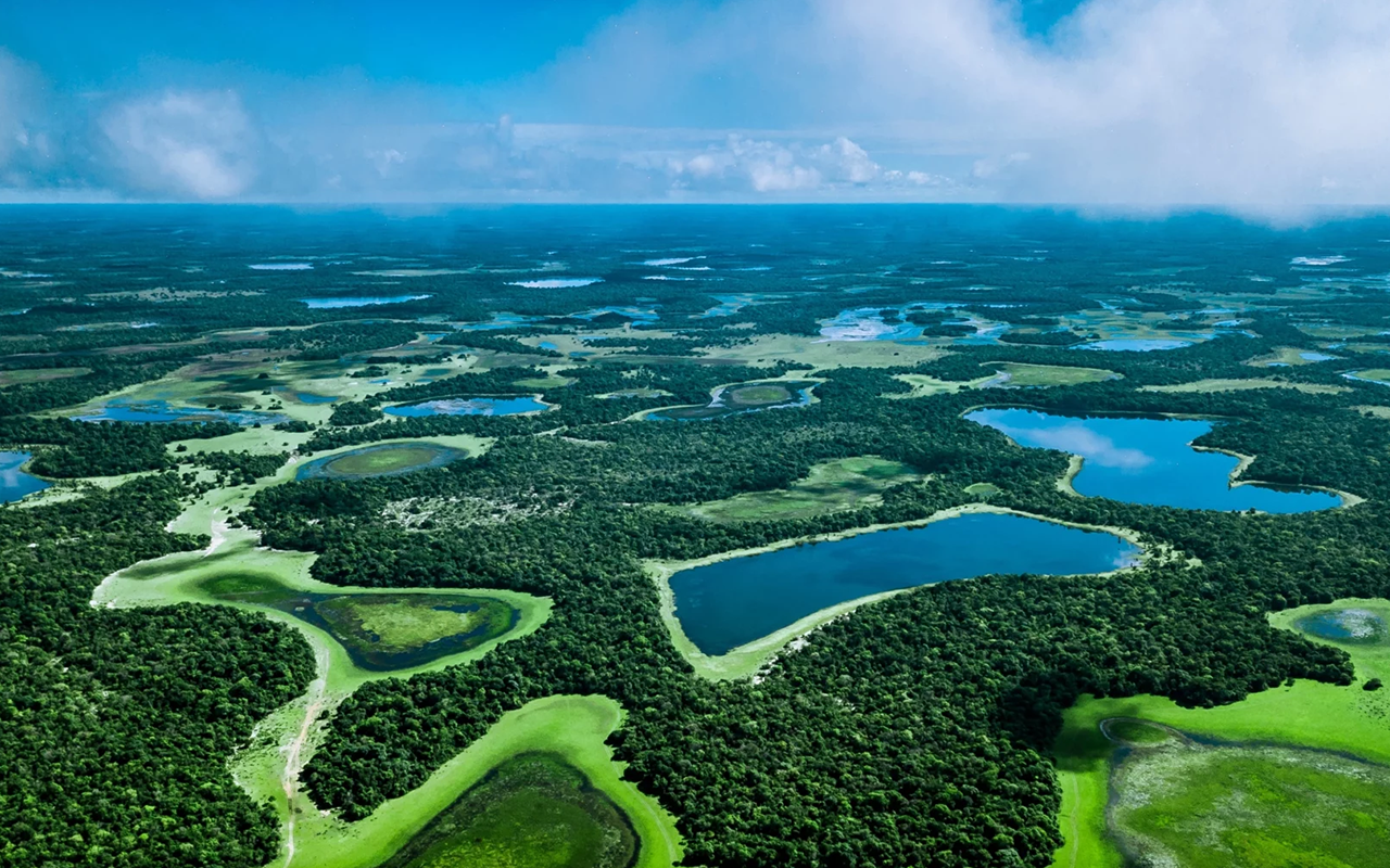 Conhecendo os Biomas: apaixonante Pantanal