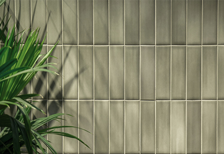 Aquarela Agave BR