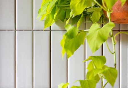 Aquarela Off White BR