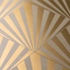 Detalhes Raios Ouro AC