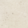 face_011