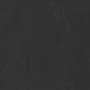 face_017
