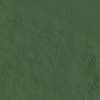 face_019