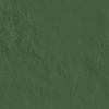 face_029