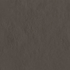 face_04