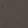 face_010