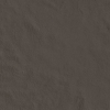 face_010