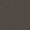 face_011