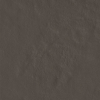 face_013