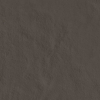 face_015