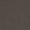 face_016
