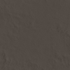 face_04