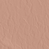 face_019