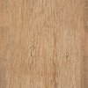 face_011