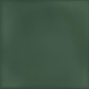face_013