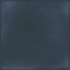 face_036