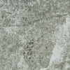 face_031