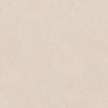 face_013