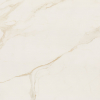 face_011