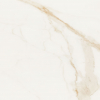 face_014