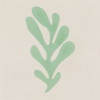 Calu Matisse Folhas Color