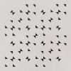 Calu Triangulos Dark MA