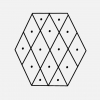 face_011
