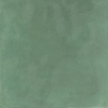 face_019