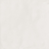 face_041