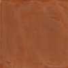 face_019