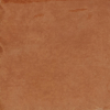 face_021