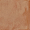 face_029