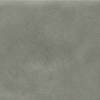 face_0100