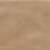 Iris Camel MA