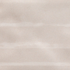 face_019