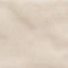 face_0100