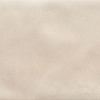 face_081