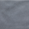 face_0100