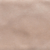 face_0100