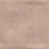 face_019
