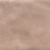 face_061