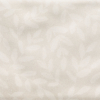 face_024