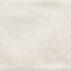 face_035