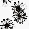 face_05