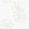 face_05
