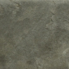 face_0100