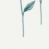 face_020