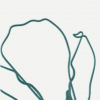 face_054