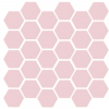 Sixties Rose BR
