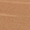 face_019